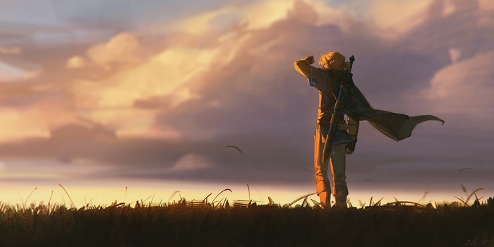 Link looking out over a field at sunset