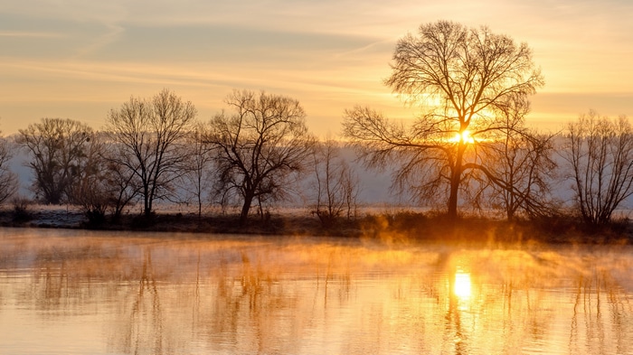 Sunrise over a misty river with bare trees