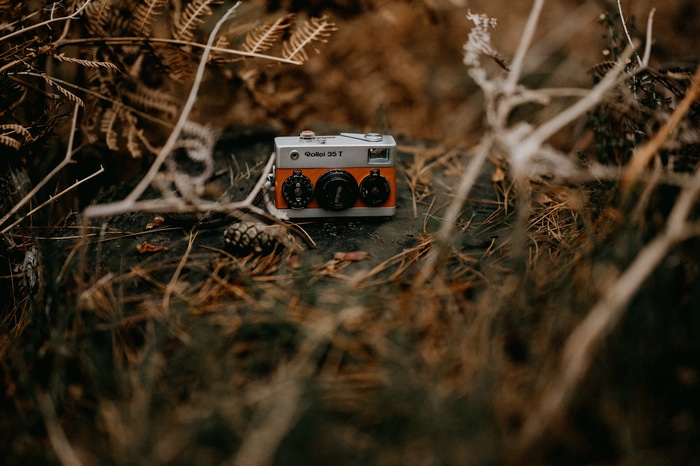 Rollei 35 T camera on forest floor
