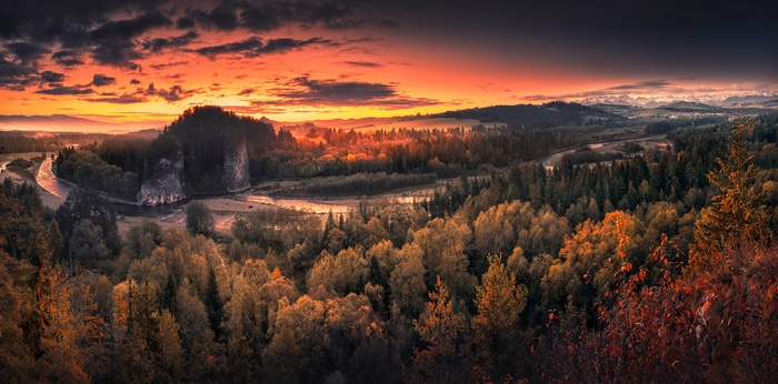 River and forest landscape at sunset