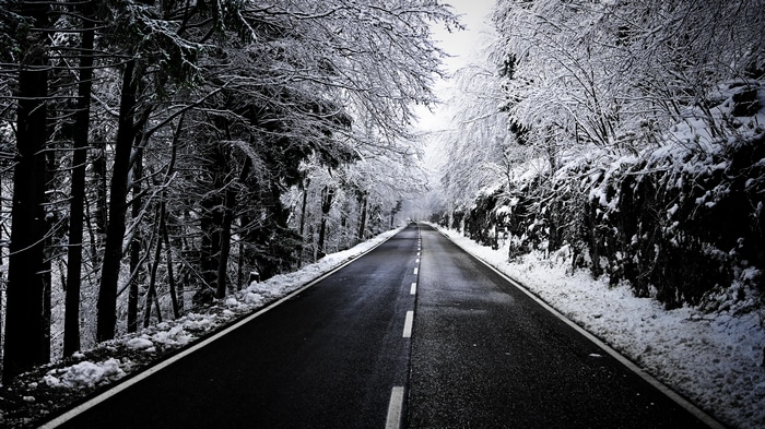 4K snow-covered road through a winter forest