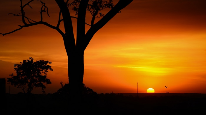4K Brazil Sunset Landscape Silhouette