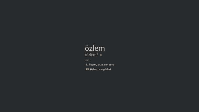 Turkish word "özlem" definition