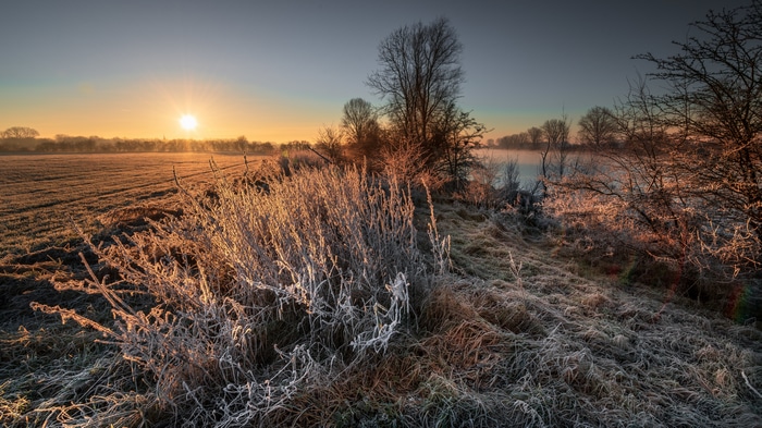 4K winter landscape with frost and sunrise