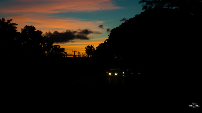 Cars driving on a road at sunset with palm trees