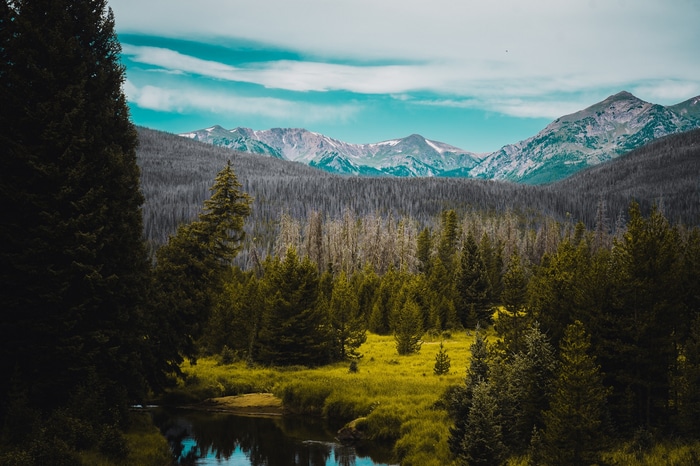River flowing through a forest with mountains in the background