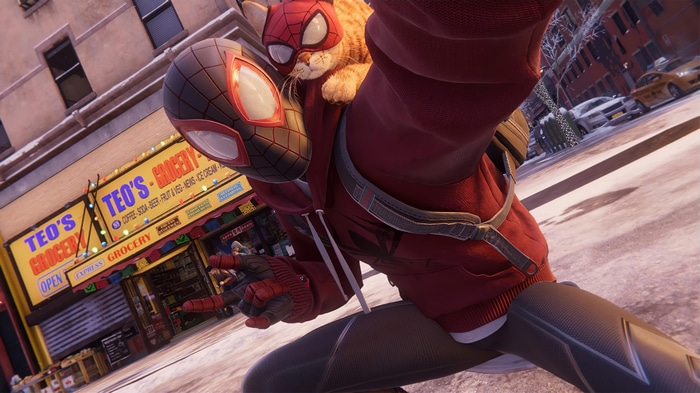 Spider-Man Miles Morales with a cat
