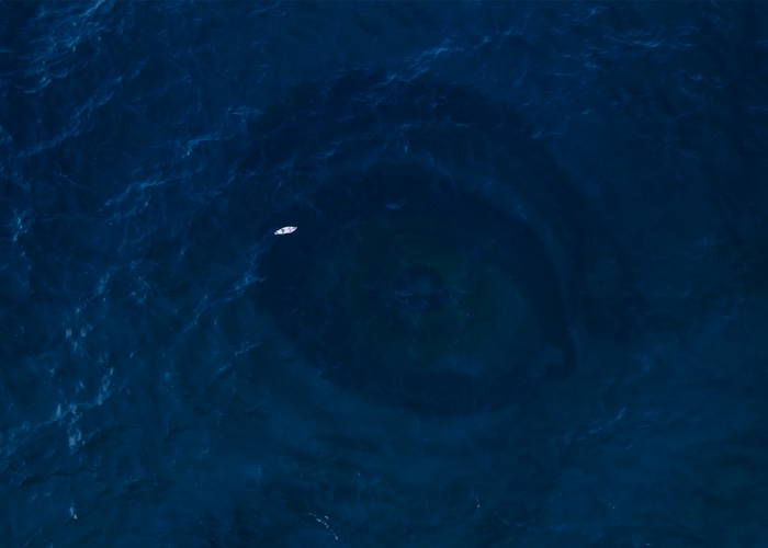 Aerial view of a boat near a giant sea creature