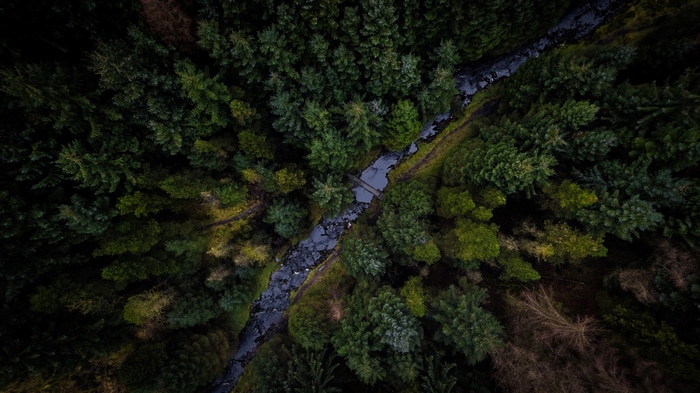 Aerial view of a forest with a river and a bridge