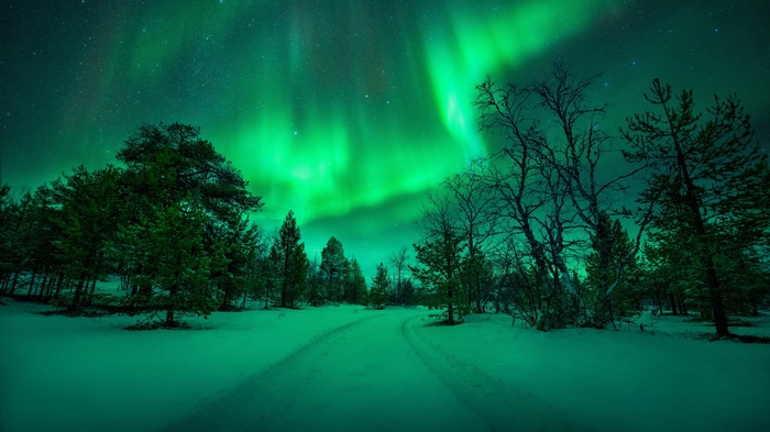 4K Winter Landscape with Aurora Borealis Over Snowy Forest
