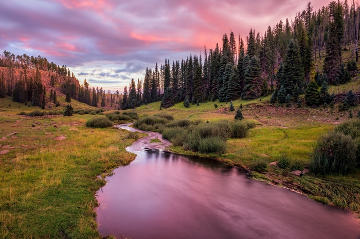 4K river flowing through a forest at sunset