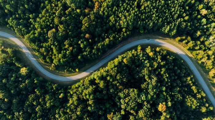 Aerial view of a winding road through a dense forest