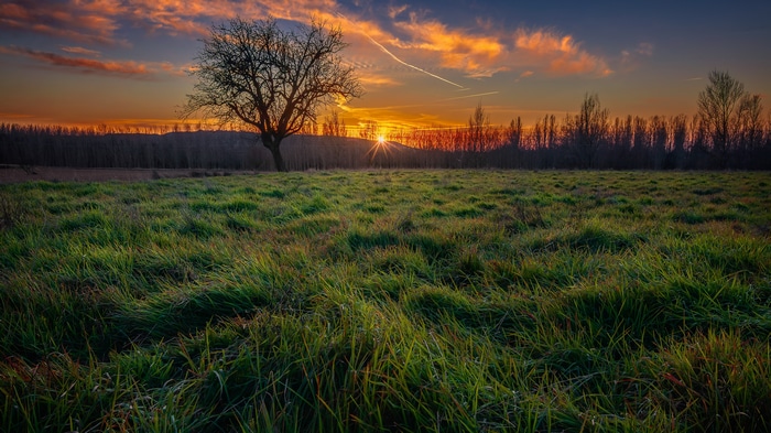 4K Orange Sky Over a Field at Sunset