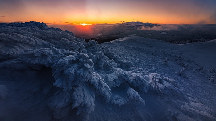 4K winter landscape with snow and sunlight