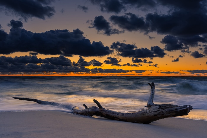 4K sunset over the sea with driftwood on the beach