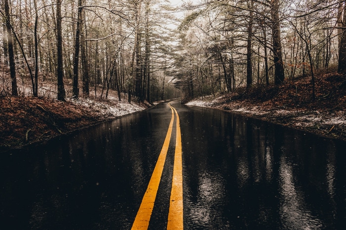 Wet forest road with yellow lines in winter