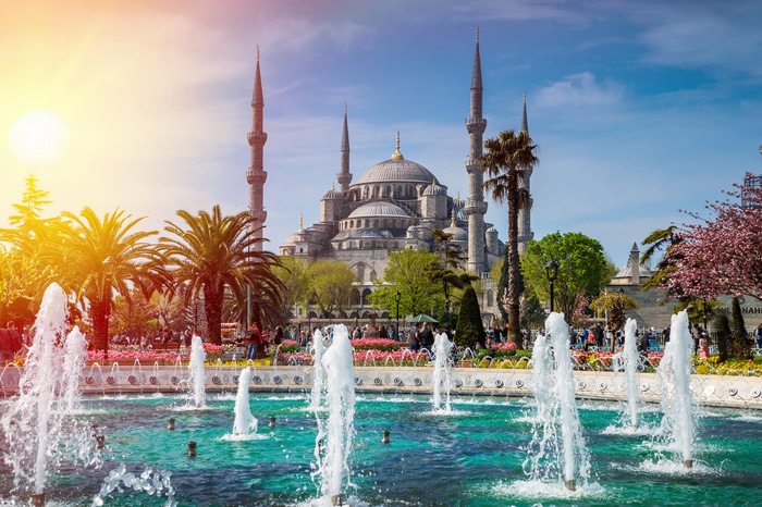 Blue Mosque in Istanbul with Fountain and Palm Trees