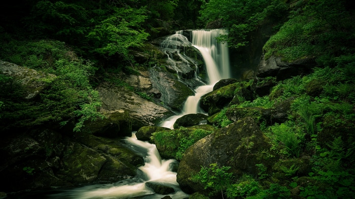 4K waterfall in a mossy forest in Chile