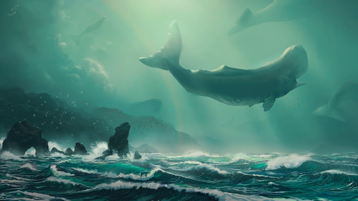 Whales swimming in a misty ocean with rocky coast