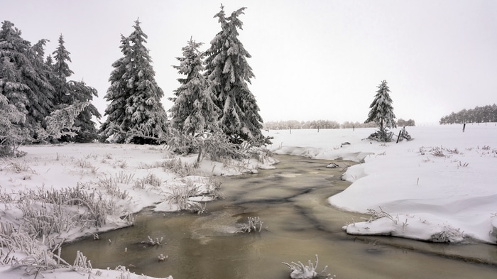 4K winter landscape with snow-covered trees and creek