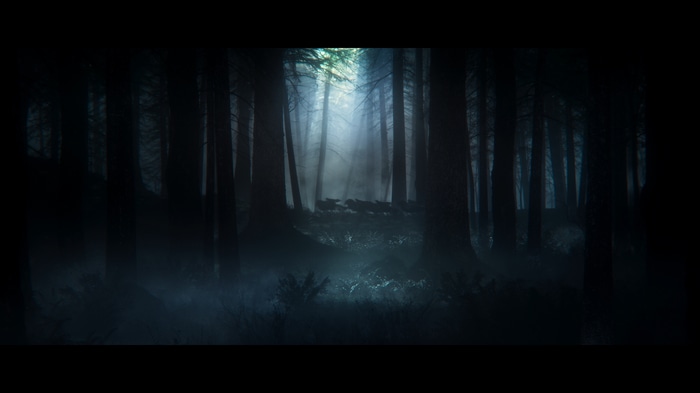 Elden Ring screenshot of a forest at night