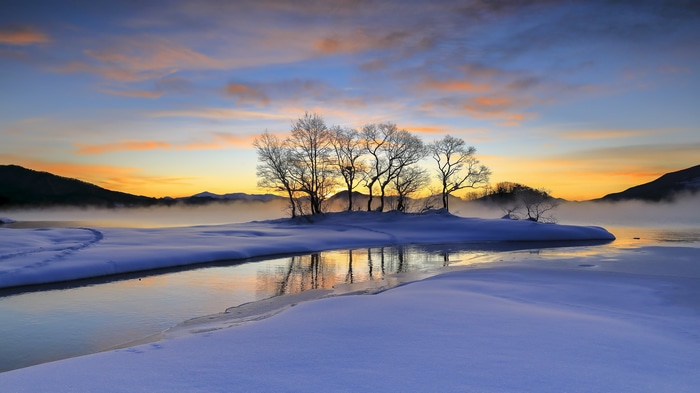 4K winter landscape with trees and sunset