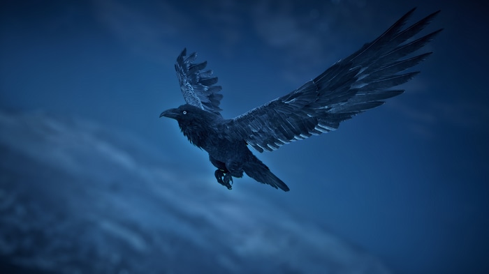 Raven flying in Assassin's Creed Valhalla
