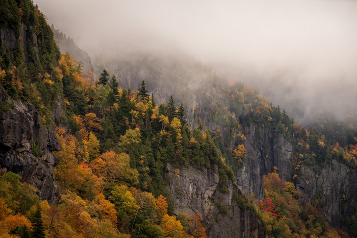 Misty mountains with autumn trees