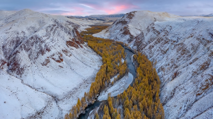 Snow-covered Altai Mountains with a winding river and autumn trees