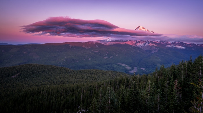 Mountain range with snow-capped peaks and forest at sunset