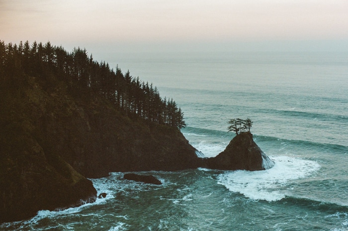 Coastal cliffs with pine trees and ocean waves
