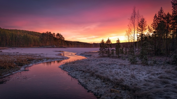 4K Winter Sunset Over Frozen Lake and Forest
