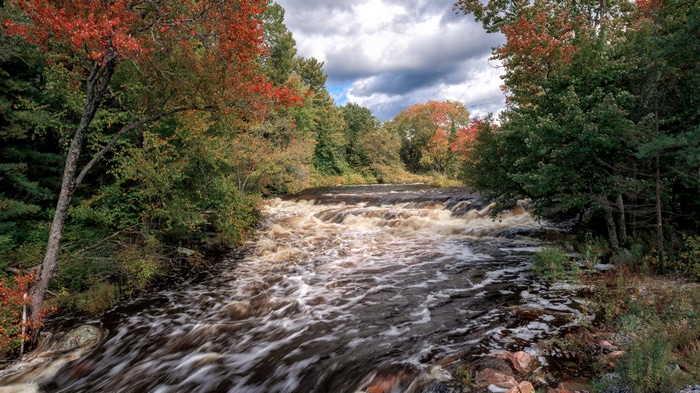 4K River in Autumn Forest