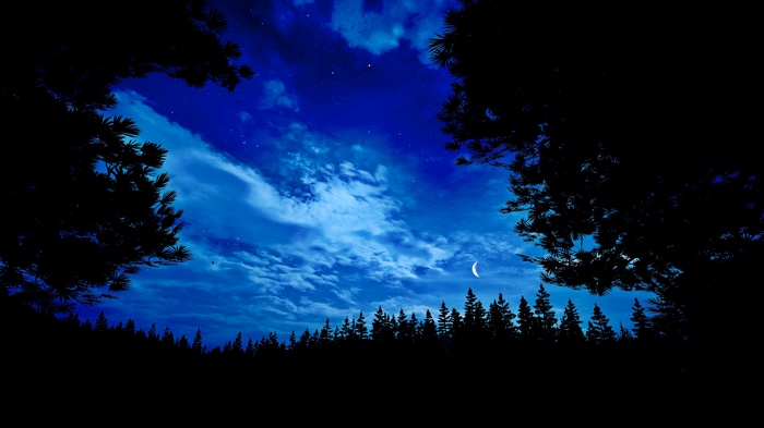 Far Cry 5 4K Night Forest with Crescent Moon