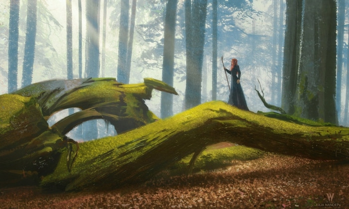 Woman with staff in a mossy forest by Raja Nandepu