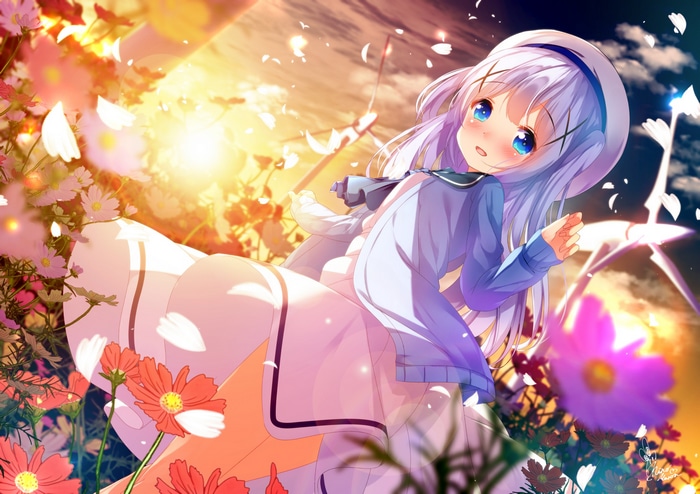 Kafuu Chino in a Field of Flowers