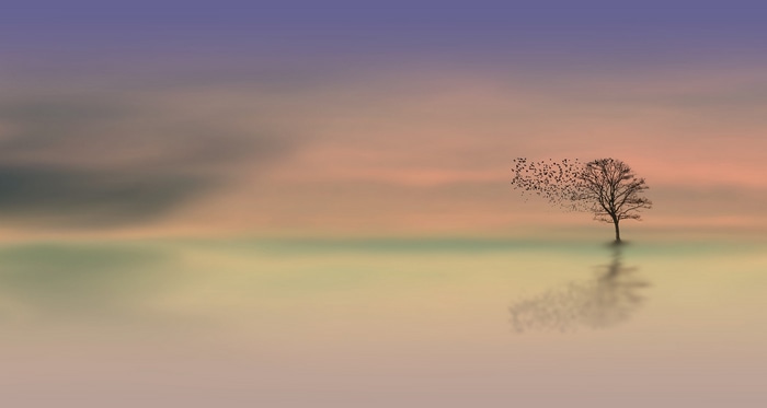 Tree with birds flying away over water