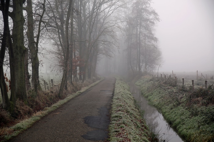 4K misty road in fall