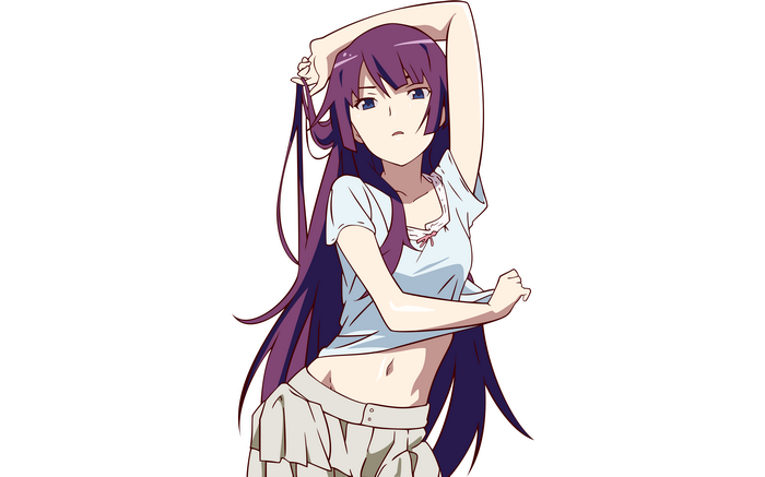 Senjougahara Hitagi from Monogatari Series