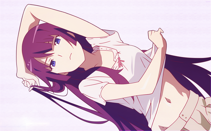 Senjougahara Hitagi from Monogatari Series