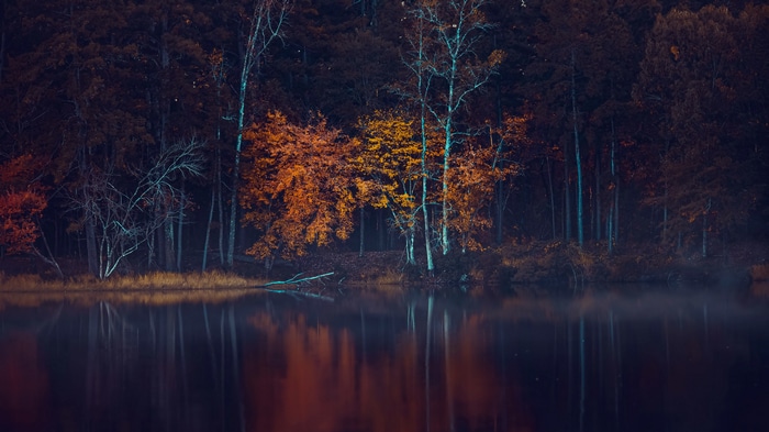 4K Fall Trees Reflecting in Water