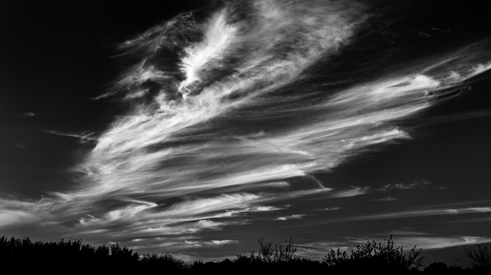 Monochrome sky with cirrus clouds and silhouetted landscape