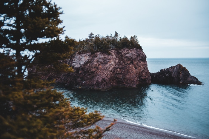 Rocky island with trees in the sea