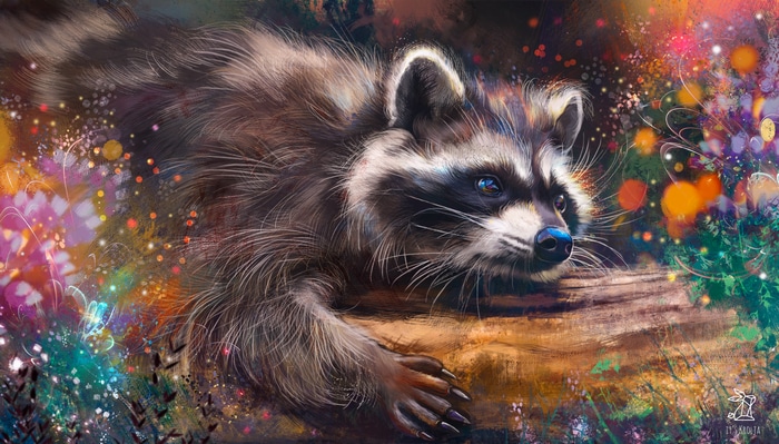 4K Raccoon by itskrolja