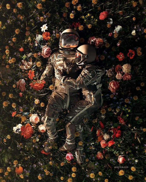 Astronaut couple lying in a field of flowers