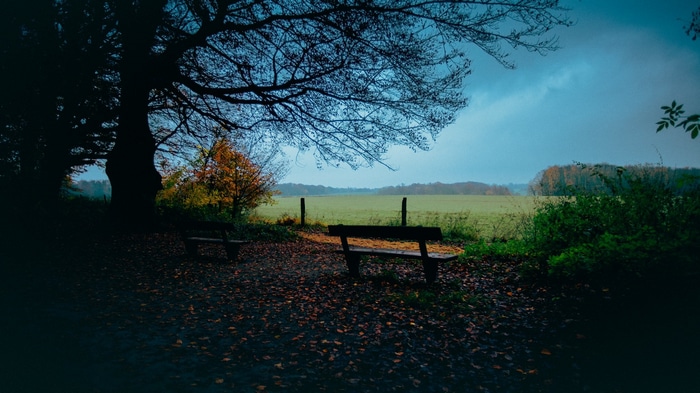 Two benches in a park with fallen leaves and a field