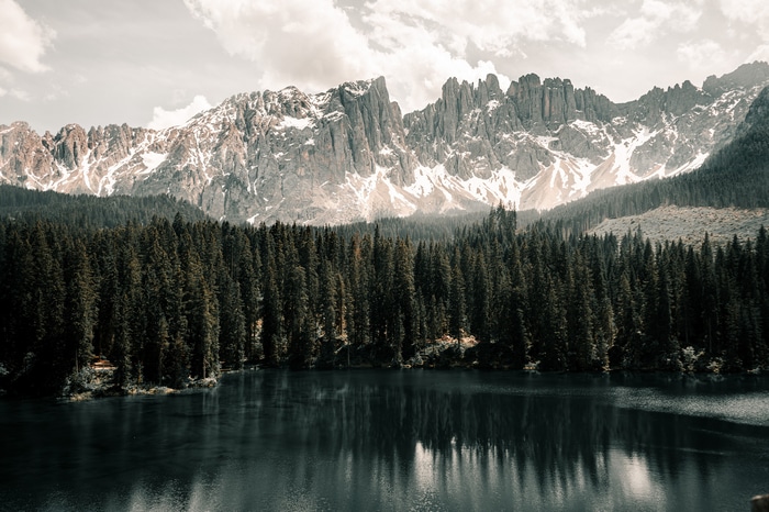 Lake and snow-capped mountains with a dense pine forest