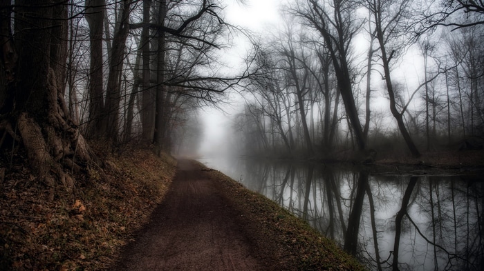 4K pathway along a foggy canal with trees