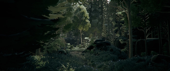 Forest path with trees and rocks