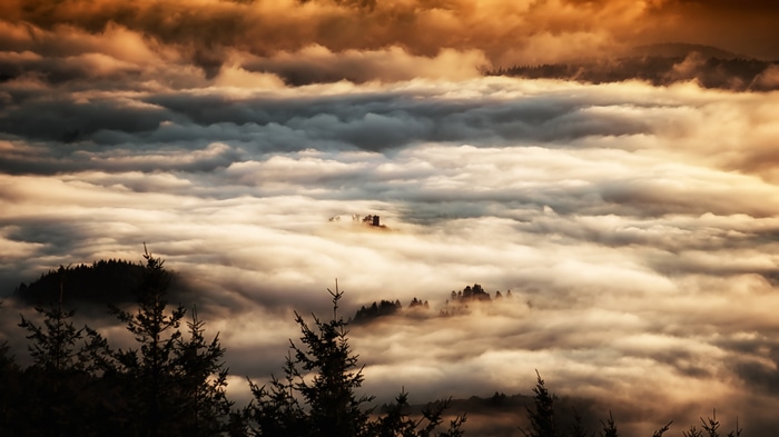 4K landscape of clouds and trees at sunset